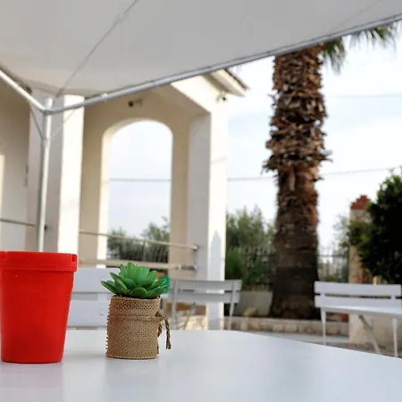 Bed & Breakfast Bouganville *