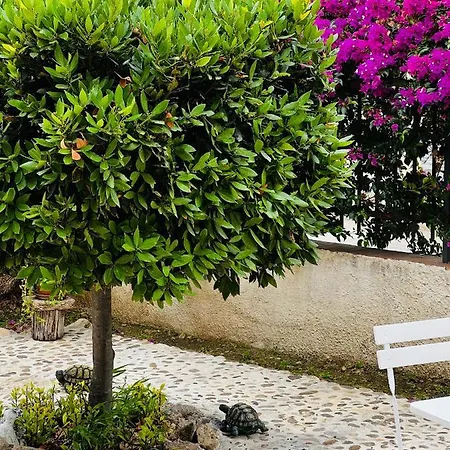 Frühstückspension Bouganville 3*